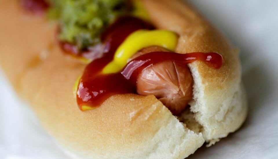Den nævnte ketchup er ikke egnet til menneskeføde, fastslår Fødevarestyrelsen. Billedet her er ikke optaget i forbindelse med denne artikel. ARKIVFOTO:  REUTERS/Thomas White/Illustration