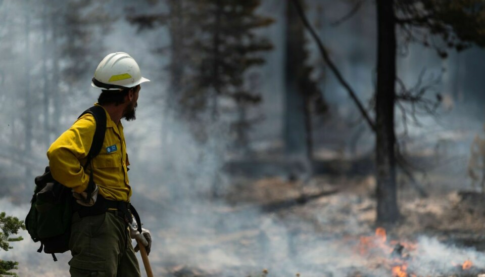 Brandmænd har kæmpet i ugevis mod en enorm skovbrand i Oregon. Det er den tredjestørste i delstaten siden 1990. (Arkivfoto)