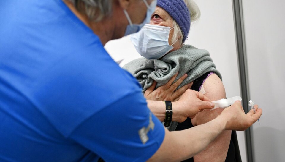 - Man skal være glad, hvis man har ondt i armen efter vaccinen. Det er et tegn på, at kroppen reagerer, som den skal, siger virolog Allan Randrup Thomsen. Foto: Philip Davali/Ritzau Scanpix