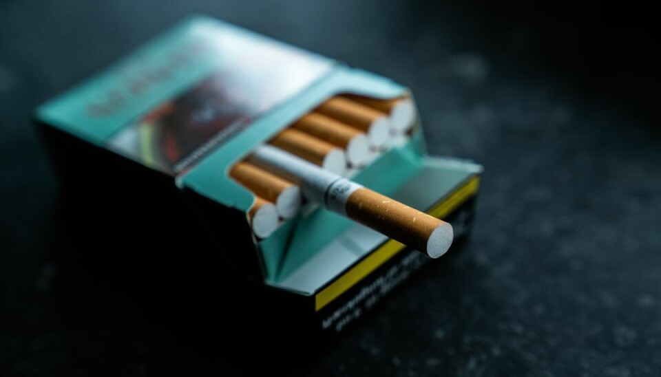 Loven om standardiserede tobakspakker gælder cigaretter, rulletobak, tyggetobak, opvarmet tobak, vandpibetobak og e-cigaretter. Derfor kommer man ikke til at se pakker som disse Kings i butikkerne længere fra 1. april næste år. I en overgangsperiode må allerede producerede pakker dog gerne sælges. Standardiseringen gælder ikke cigarer, cigarillos, pibetobak og nikotinposer. (Arkivfoto) Loven om standardiserede tobakspakker gælder cigaretter, rulletobak, tyggetobak, opvarmet tobak, vandpibetobak og e-cigaretter. Derfor kommer man ikke til at se pakker som disse Kings i butikkerne længere fra 1. april næste år. I en overgangsperiode må allerede producerede pakker dog gerne sælges. Standardiseringen gælder ikke cigarer, cigarillos, pibetobak og nikotinposer. (Arkivfoto)