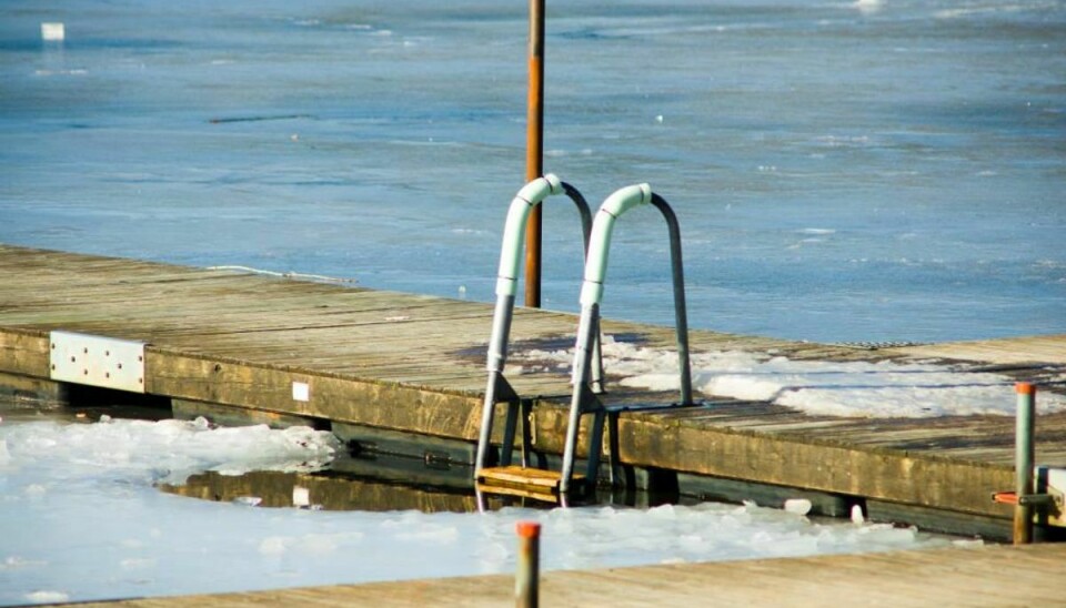 Vinterbadere skal måske til at slå hul i isen den kommende uge, hvis de skal have sig en kold dukkert. Foto: Colourbox