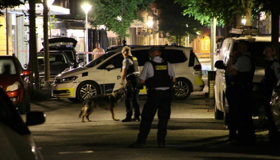 Politiet og en politihund var til stede i Store Heddinge natten til mandag. Foto: presse-fotos.dk