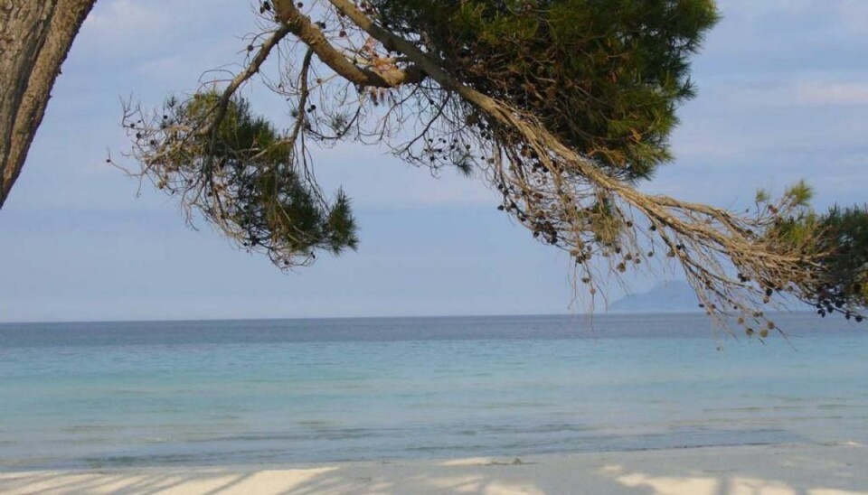 Dansk ferieparadis ramt af ekstrem varme Op til 45 graders varme. Det er udsigten for mandag på Mallorca.