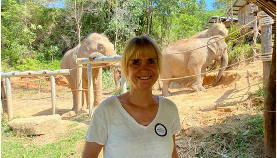 Gitte Buchhave, direktør i World Animal Protection
