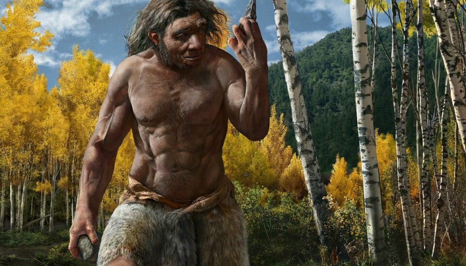 Nyopdaget menneskeart er måske tættere på os end neandertaleren
