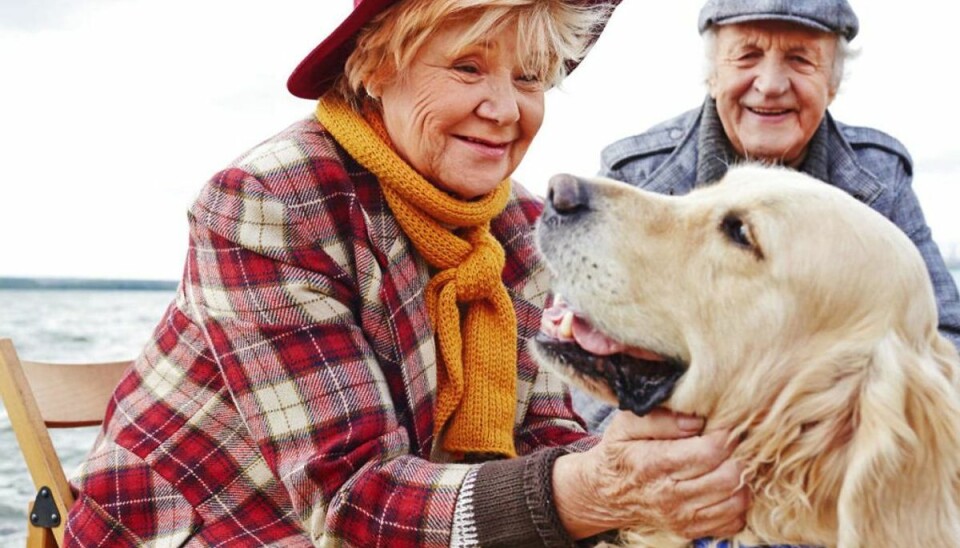 Giv din hund en bedre alderdom