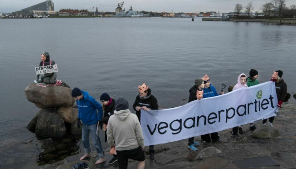 Vælgerne kan stemme på Veganerpartiet ved næste folketingsvalg. (Arkivfoto). Foto: Liselotte Sabroe/Scanpix