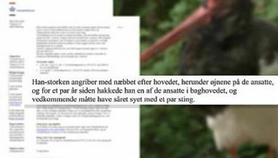 Uddrag fra Arbejdstilynets rapport. Foto: TV2 Østjylland.