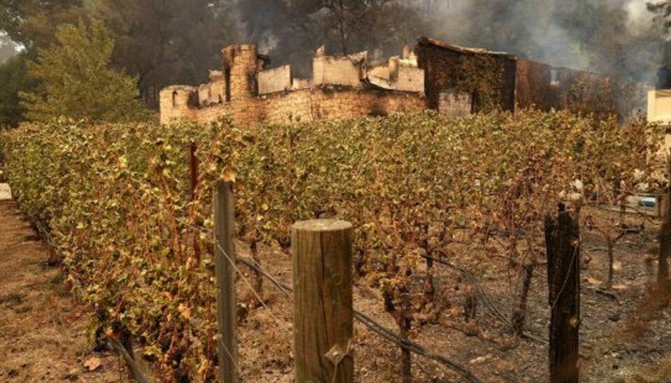 Flere berømte vingårde i Napa er allerede gået op i røg, herunder Château Boswell på billedet. Foto: Justin Sullivan/AFP