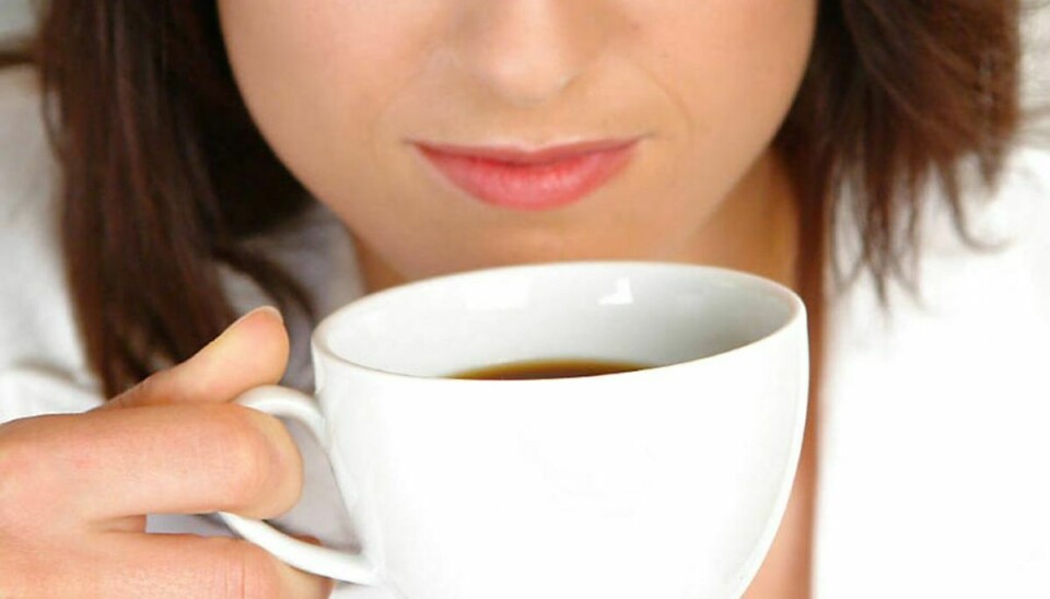 Et nyt studie påpeger, at det kan være sundhedsmæssigt skadeligt at drikke kaffe før morgenmaden. KLIK VIDERE OG SE HVORFOR. Foto: Ritzau Scanpix/ Arkiv
