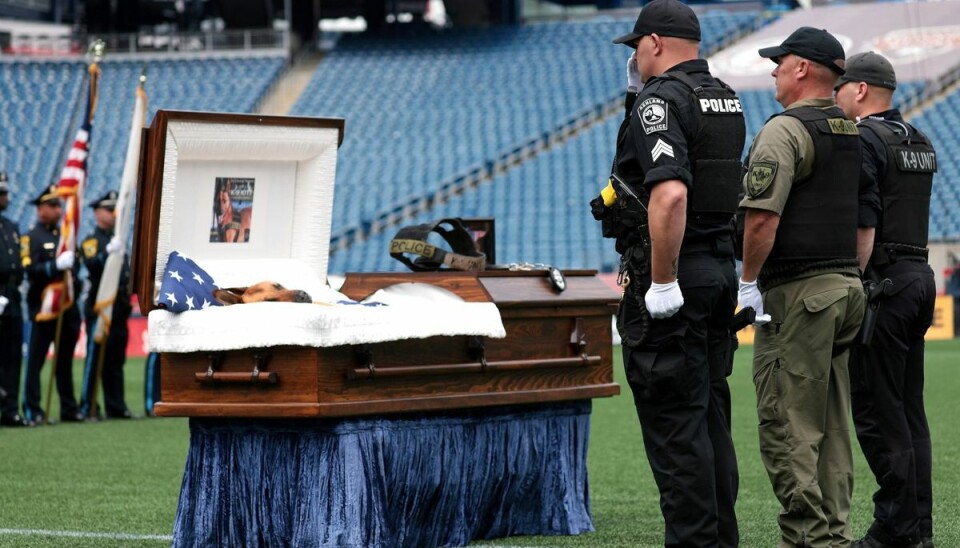 Politifolk mindes politihunden K-9 Kitte, som døde i tjeneste, ved en højtidelig begravelsesceremoni på Gilette Stadium syd for Boston. Foto: Jessica Rinaldi/Scanpi Politifolk mindes politihunden K-9 Kitte, som døde i tjeneste, ved en højtidelig begravelsesceremoni på Gilette Stadium syd for Boston. Foto: Jessica Rinaldi/Scanpi Foto: Jessica Rinaldi/Scanpix