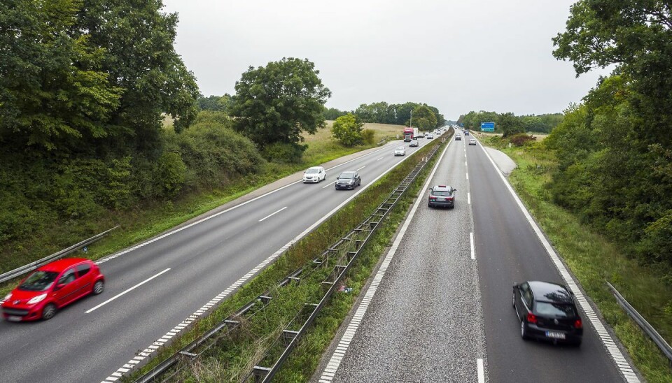 En hund blev søndag aften dræbt på Helsingørmotorvejens forlængelse.