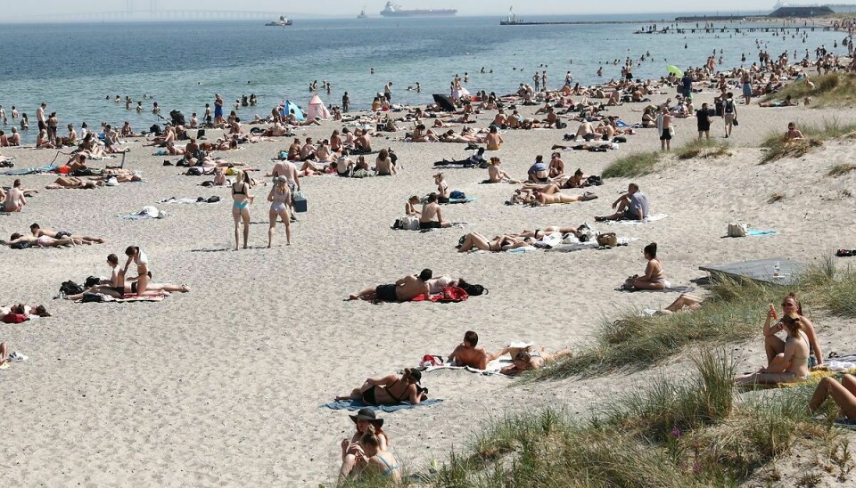 Amarkanere i Amager Strandpark fredag den 18. juni 2021. Et højtryk sender varm luft ind over Danmark, og temperaturen bliver de næste dage mellem 28 og 33 grader.