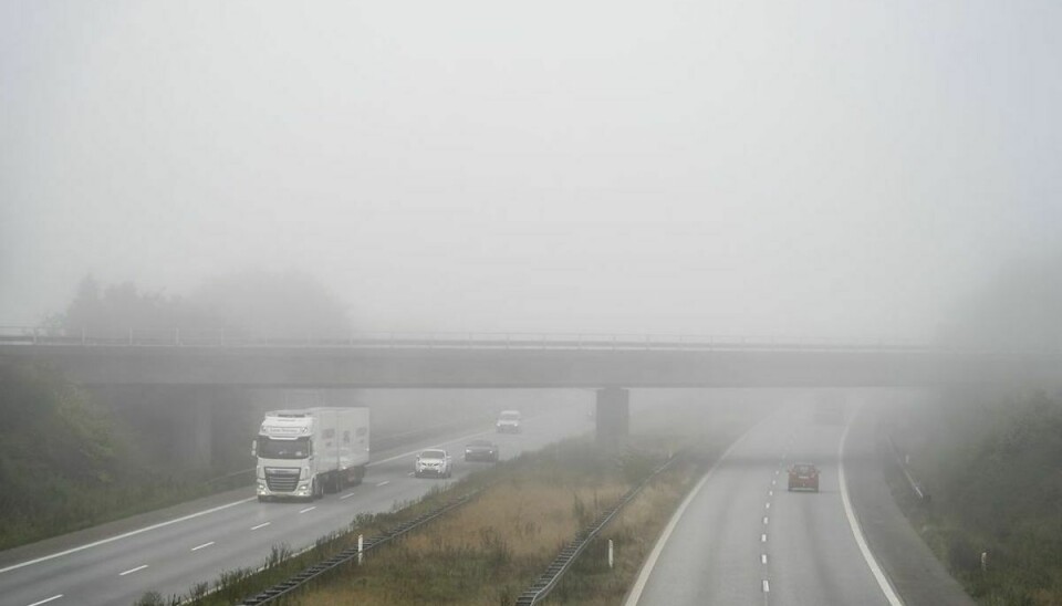 Der er udsigt til tæt tåge i Danmark søndag. Foto: Mads Claus Rasmussen/Ritzau Scanpix