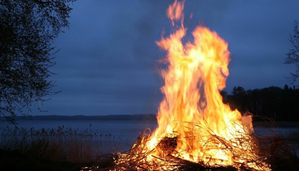 Hver år tændes flere hundrede Sankthansbål rundt omkring i Danmark. Desværre fanges mange dyr i flammerne, fordi de ser kvasbunken som det perfekte skjulested.