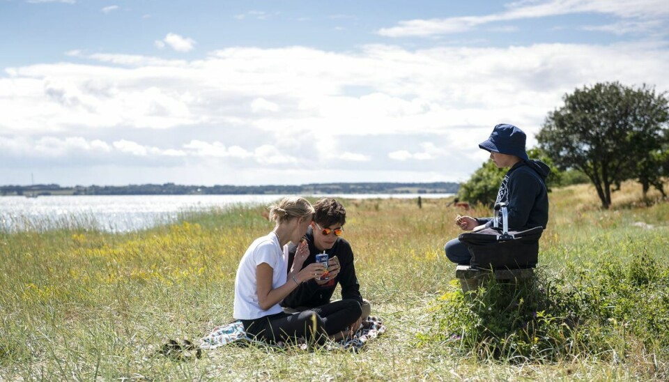 Der går lige et par dage før vi kan genskabe en scene som denne. Foto: Christian Lindgren