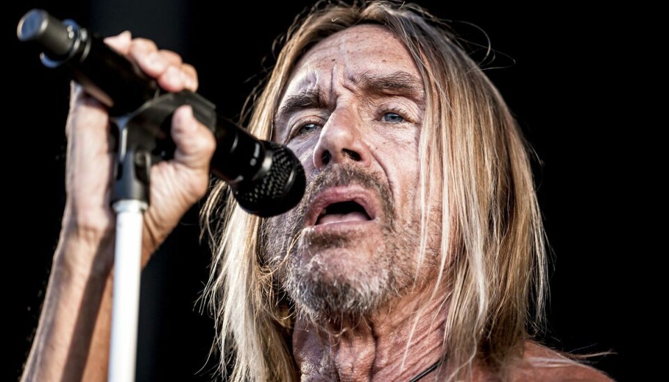 Iggy Pop spillede på Tinderbox i 2018 Foto: Mads Claus Rasmussen/Ritzau Scanpix Iggy Pop spillede på Tinderbox i 2018 Foto: Mads Claus Rasmussen/Ritzau Scanpix