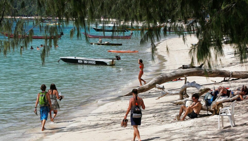 Smukt ser det ud på den thailandske ø Koh Tao. Men bag idyllen gemmer sig en stribe af selvmord og dødsfald.