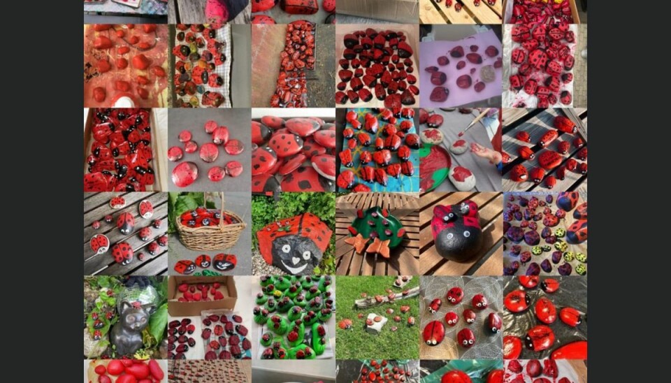 Listbeth Snell har modtaget denne collage med et udpluk af sten fra private børnepassere i resten af landet. Listbeth Snell har modtaget denne collage med et udpluk af sten fra private børnepassere i resten af landet.