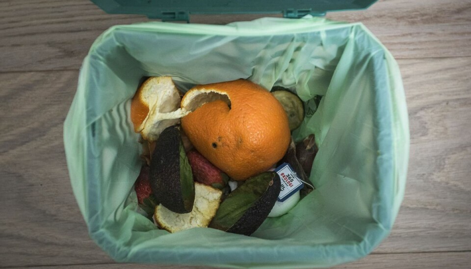 De høje temperaturer fremskynder forrådnelsesprocessen af madaffaldet. Foto: Sofie Mathiassen De høje temperaturer fremskynder forrådnelsesprocessen af madaffaldet. Foto: Sofie Mathiassen