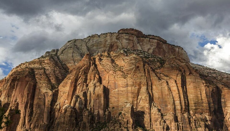 Kvinden styrtede ned i Zion National Park. Foto: Clickalps/Masterfile/Ritzau Scanpix