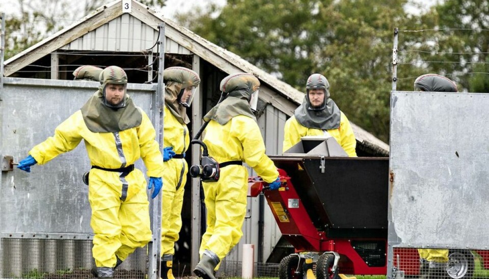 Vred dyrlæge: -Vi kan ikke bare se på