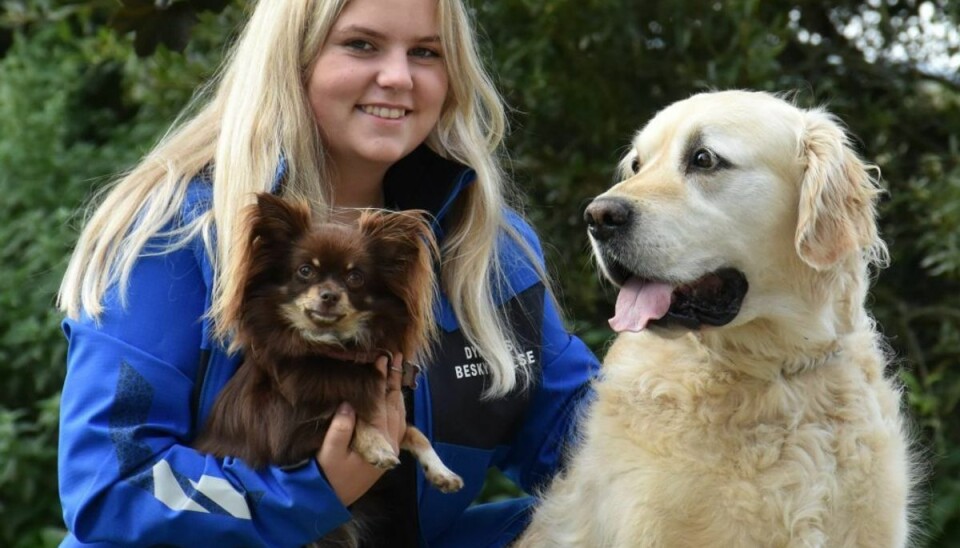 14-årige Johanne Skriver har samlet 40.000 kroner ind til Nordjyllands Dyreinternat. Her sidder hun med sine to hunde Fie og Buster. Foto: Dyrenes Beskyttelse