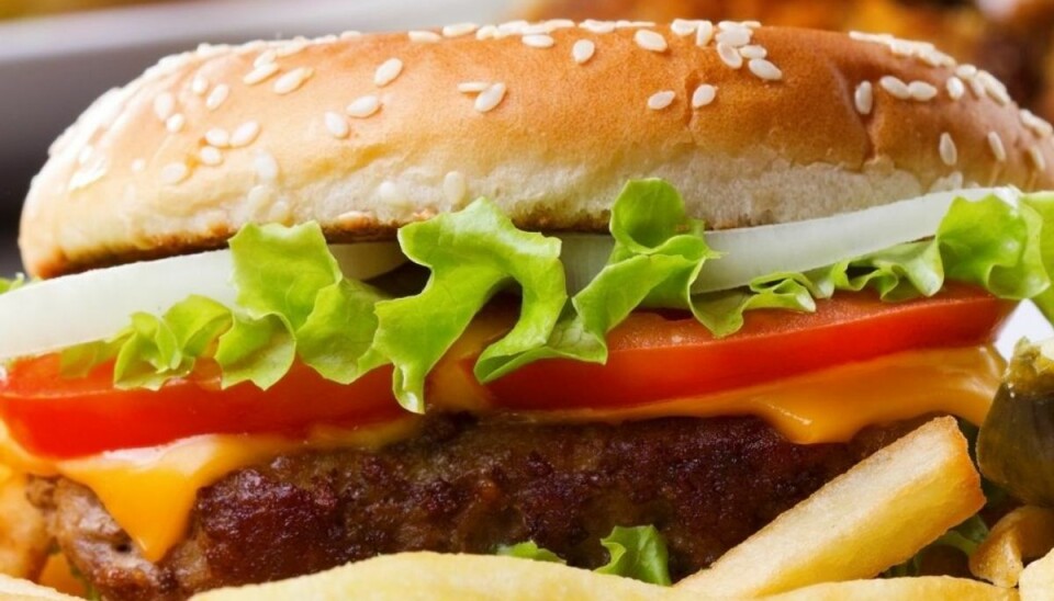 Et parti burgerboller kaldes tilbage på grund af dampe af ethylacetat. KLIK og se billede af indpakning. Foto: Colourbox. Et parti burgerboller kaldes tilbage på grund af dampe af ethylacetat. KLIK og se billede af indpakning. Foto: Colourbox.