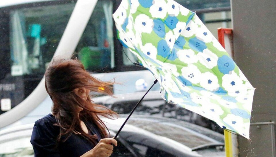 DMI har udsendt varsel om vindstød af stormstyrke. Klik videre for dagens prognoser. (Foto: Scanpix) DMI har udsendt varsel om vindstød af stormstyrke. Klik videre for dagens prognoser. (Foto: Scanpix)