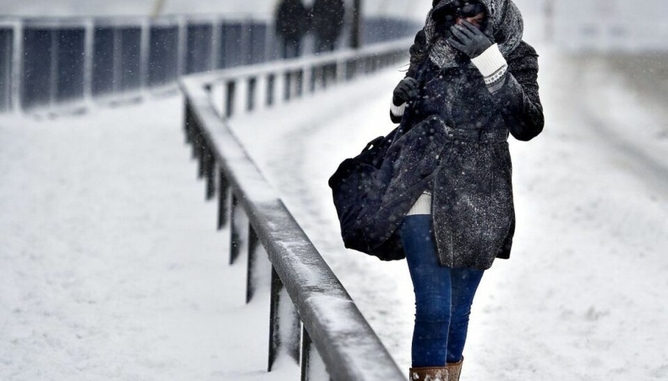 Vær velkommen 2019: Sne og vindstød af stormstyrke