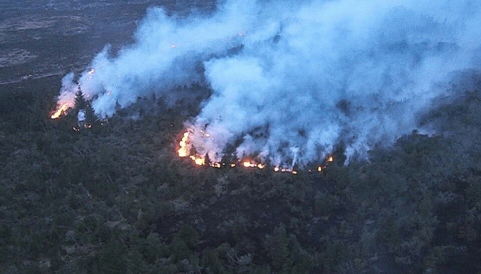 Dagslang storbrand: Nu er årsagen klar