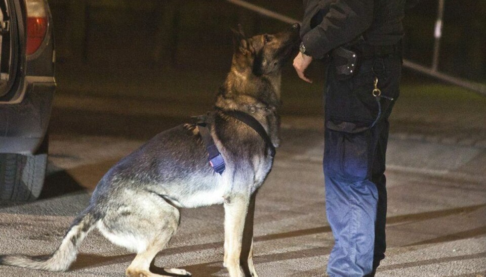 Træn din hund som politiet