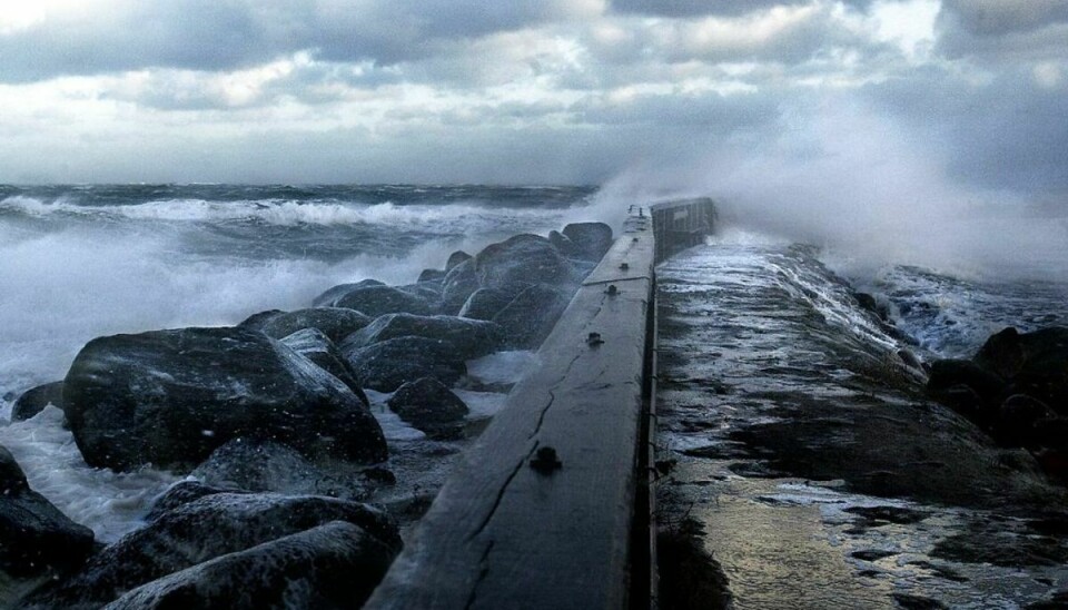 Det voldsomme vejr forventes at ramme Danmark i løbet af fredag aften og nat. Foto: Scanpix.