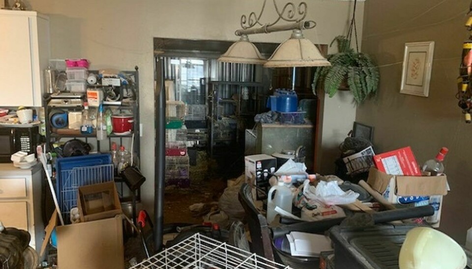Tre piger blev fundet i et hjem med omtrent 245 dyr. Huset var nærmest ubeboeligt med affald, dyreurin og -ekskrementer over det det hele. Foto: Edgewater Police Department