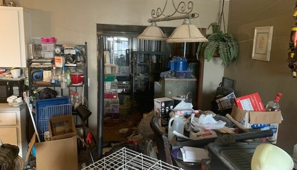 Tre børn fundet i ubeboeligt hus: Fuld af dyr Tre piger blev fundet i et hjem med omtrent 245 dyr. Huset var nærmest ubeboeligt med affald, dyreurin og -ekskrementer over det det hele. Foto: Edgewater Police Department