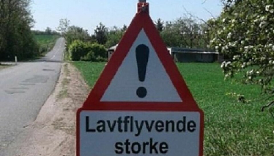 Jo, den er god nok. Ser du dette skilt skal du passe på lavtflyvende storke. (Privatfoto/ KLIK VIDERE OG SE FLERE SKILTE, SOM DU MÅSKE IKKE KENDER! Jo, den er god nok. Ser du dette skilt skal du passe på lavtflyvende storke. (Privatfoto/ KLIK VIDERE OG SE FLERE SKILTE, SOM DU MÅSKE IKKE KENDER!