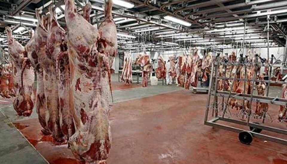 Ifølge Ruslands premierminister Medvedev vil landet stoppe al import af frugt, grønt, kød, fisk, mælk og mejeriprodukter fra USA og EU, Australien, Canada og Norge. Foto: www.colourbox.com/free