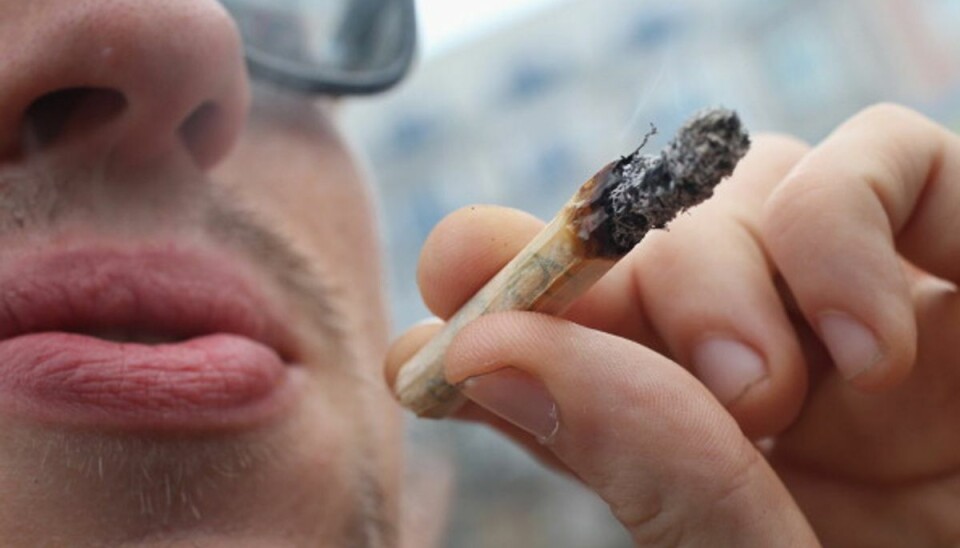 Galleri: Berlin fyrede op under den fede Deltagere ved hampparade i Belin demonstrerede søndag for at få cannabis lovliggjort. Foto: Getty Images