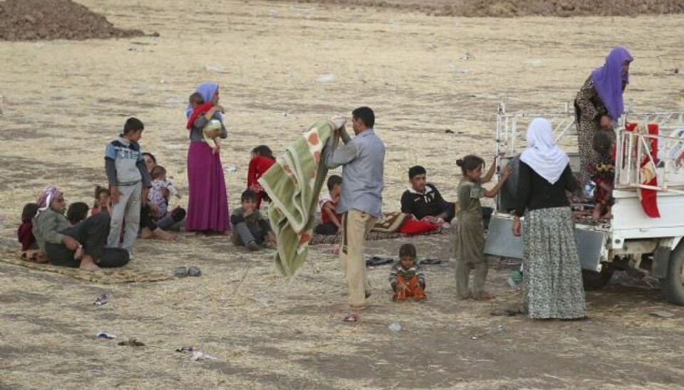 500 irakere fra den religiøse Yazidi-minoritet er blvet dræbt af sunnimuslimske ekstremister fra Islamisk Stat, hævder irakiske myndigheder. Foto: Khalid Mohammed/AP