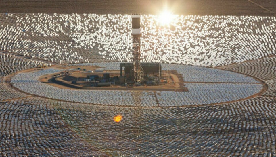 Hundredetusindvis af spejle ved solkraftværket Iwanpah skaber brændende varme stråler i luften, der er fatale for forbiflyvende fugle. Foto: Brightsource Energy.