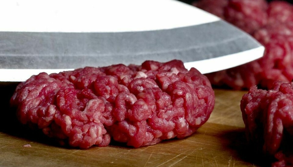En slagter har store udfordringer med at overholde fødevarelovgivningen. Foto: Scanpix
