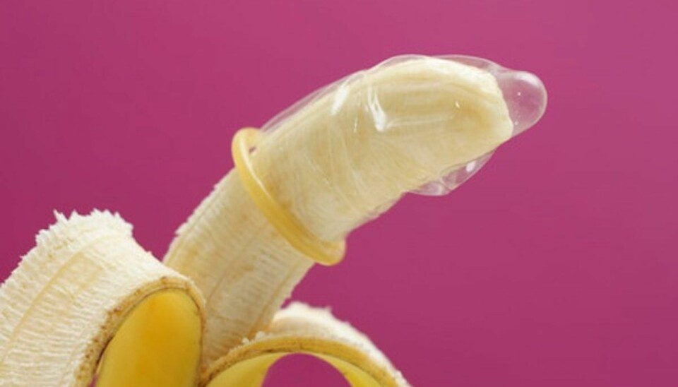 Kun med Kondom: Kæmpe penis er lige til at spise I Aalborg skydes årets kampagne for seksuel sundhed “Kun med Kondom” i gang med et stort pen-is-event. Foto: Colourbox.