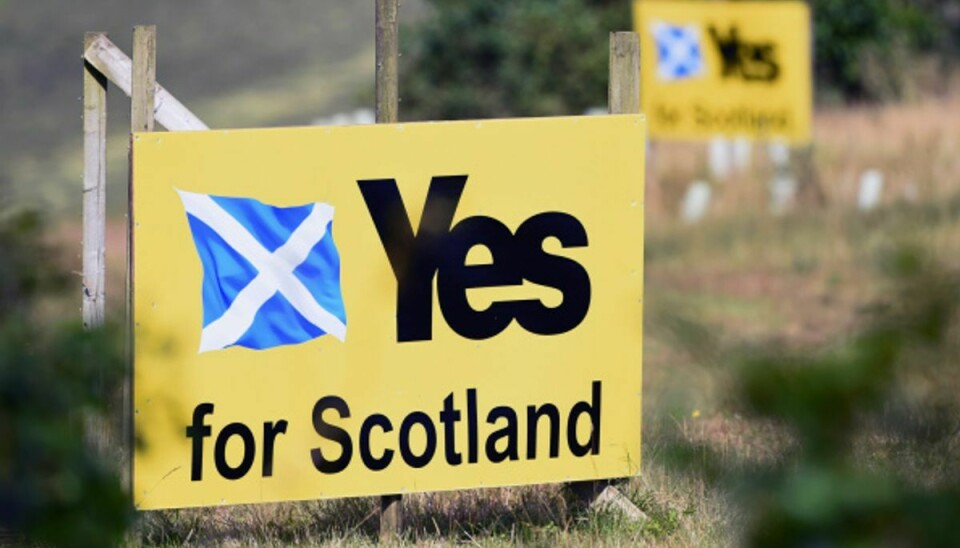 En meningsmåling søndag viste højst overraskende et flertal for skotsk løsrivelse fra Storbrittanien. Foto: Getty Images