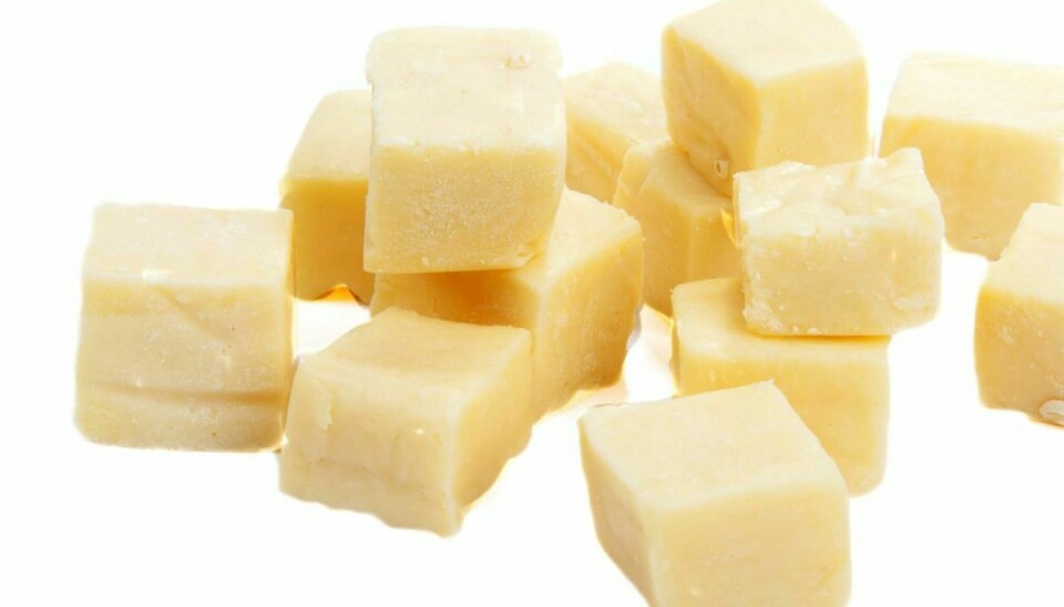 Falengren A/S tilbagekalder Cheddar ost i tern. Der er risiko for mug. Foto: Colourbox.com (Modelfoto).