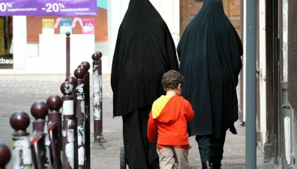 S og R: Integrationen er ikke god nok Foto: Colourbox/free