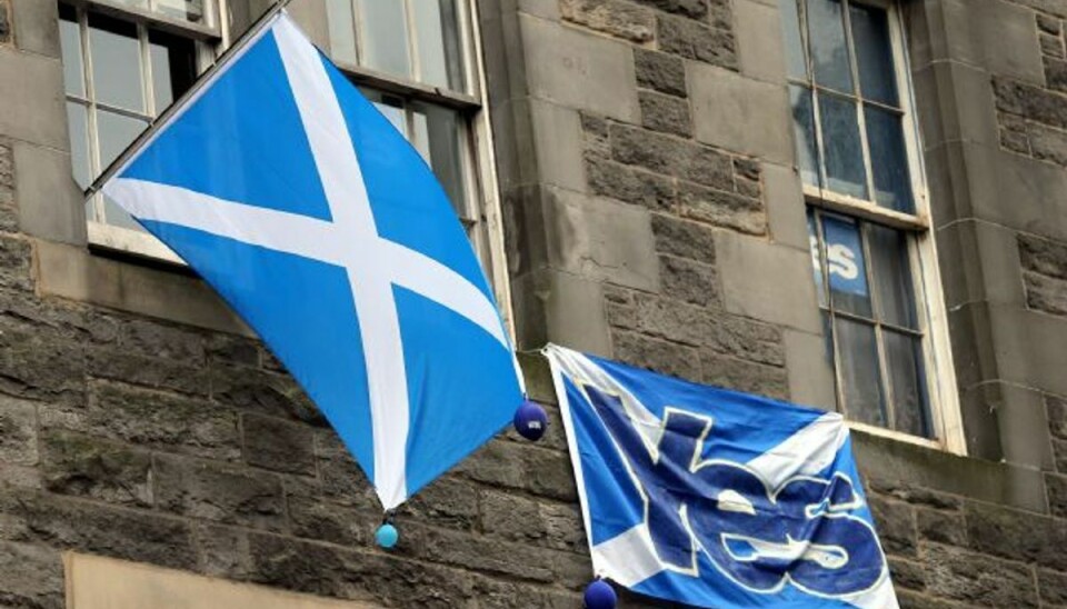 Skotsk løsrivelse? Se meningsmålingerne Det skotske nationalflag er blevet symbolet for tilhængere af løsrivelse fra Storbritannien. Foto: Scott Heppell/AP