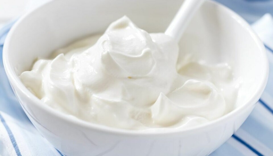 Rester i en skål og frisk cremefraichedressing, så har du en bowl. Genrefoto. Rester i en skål og frisk cremefraichedressing, så har du en bowl. Genrefoto.