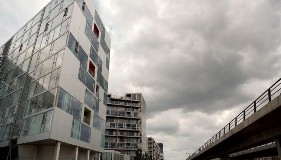 Hundredevis af spurve dræbt af høje huse i København Mange fugle omkommer, når de flyver ind i Ørestadens høje huse. Foto: Carsten,,,freelance Lauridsen/POLFOTO