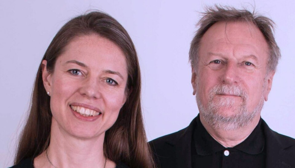 Sådan får du et bedre job – Man kan overvinde sine barrierer ved at gøre dem intelligente, siger Peter Horn og Lene Thomsen.