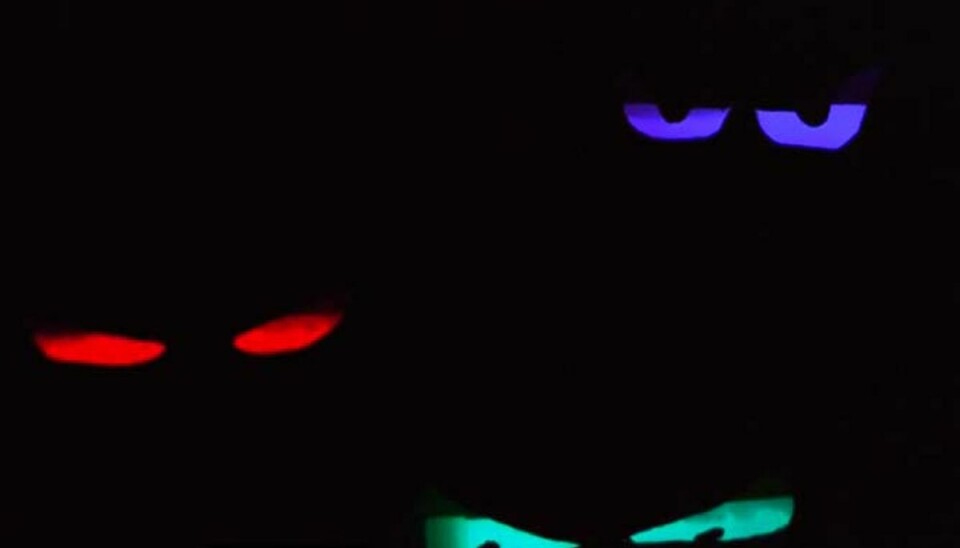 Web-tv: Sådan laver du uhyggelige øjne til Halloween